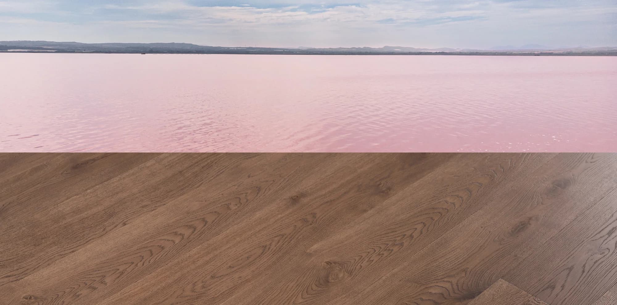 Эльтон — фрагмент