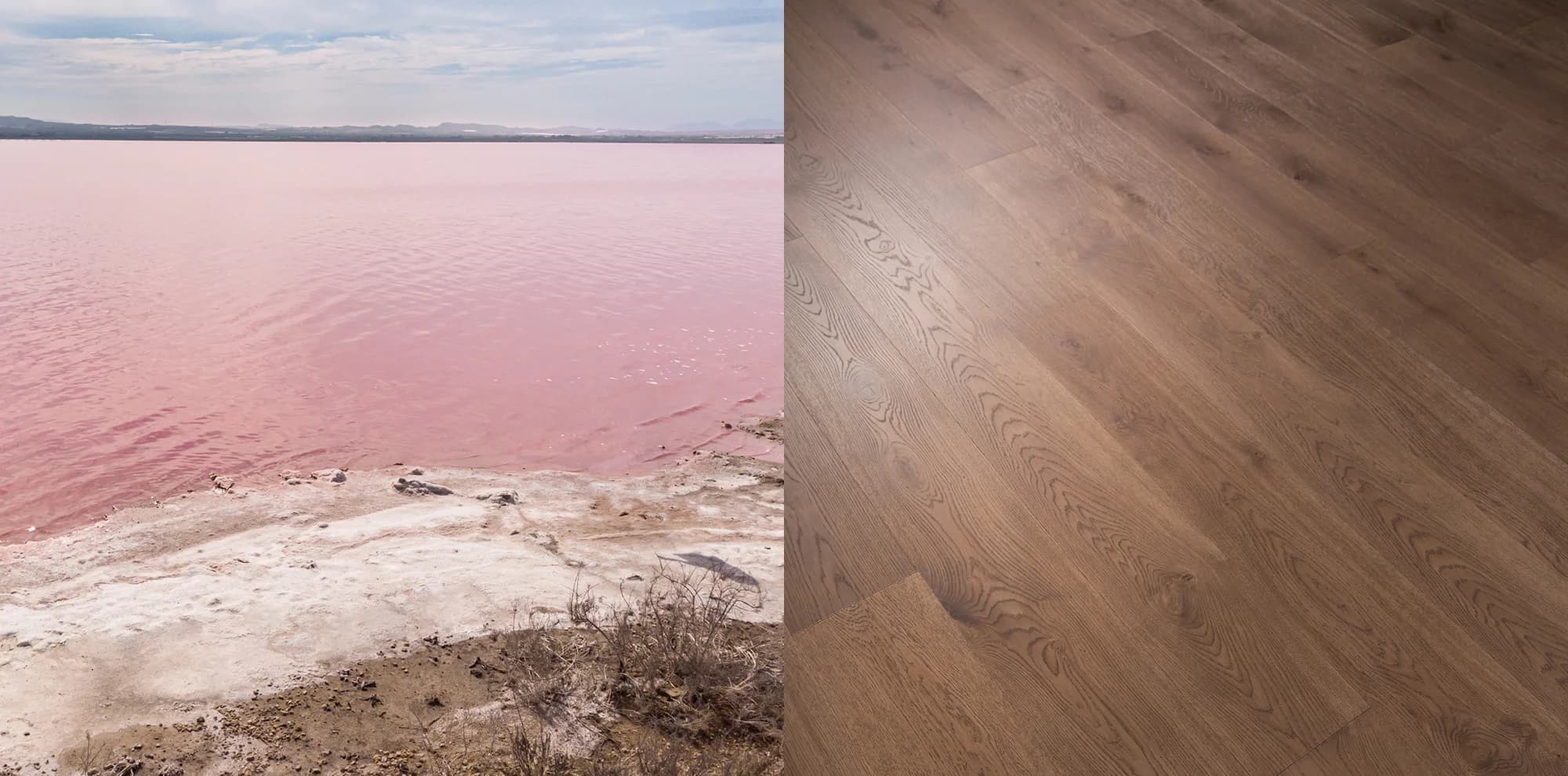 Эльтон — акцентная текстура