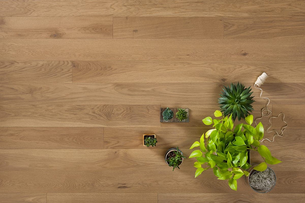 Natural Touch - Голландская палуба